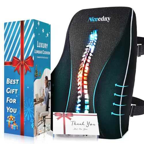 Lumbar Support Pillow for Office Chair Car, Gaming Chair Lower Back Pain Relief Memory Foam Cushion with Greeting Card,3D Mesh Cover Ergonomic Back Rest, Birthday Gift Father‘s Day Gifts for Dad