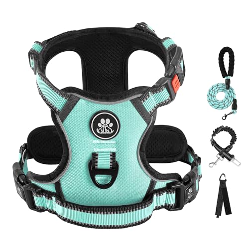 IVY&LANE No Pull Dog Harness with Leash Set, Reflective No Choke Pet Vest,Adjustable Oxford Dog Vest Harness with Easy Control Handle for Medium Dogs (Turquoise,M)