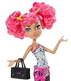 Monster High Dance Class Howleen Wolf Doll