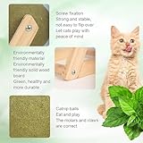 Cat Mint Ball Toy, Catnip Floor Ball Toy, Interactive Catnip Toy, Rotatable Catnip Roller Ball Floor Mount, Catnip Floor Toys with Enjoyable and Safe, Floor Catnip Roller for Cat Playing (Small)