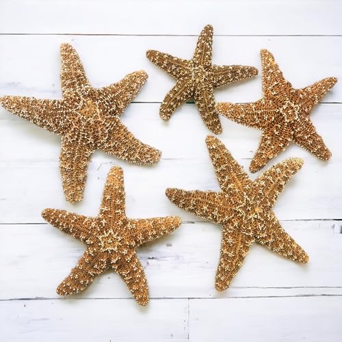 Tumbler Home Real Starfish Décor - 5pcs - 4" - 6" Large Starfish for Crafts, Beach House Décor, Aquarium & Fish Tank Decorations, Chirstmas Ornaments & Nautical Decorations