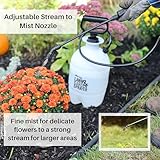 Flo-Master by Hudson 24101 1 Gallon Lawn and Garden Tank Sprayer, Translucent