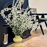 Snow Willow Living Vase Decor - 30 Branches - Grows in Just Water for Weeks - Approx 16-24 Inches Tall