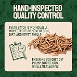 Hatortempt Dried Mealworms 5 lbs - Organic Non GMO Chicken Feed - High Protein Poultry Feed - Mealworms for Chickens, Wild Birds & Laying Hens