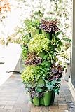 Greenstalk Patented Large 5 Tier Vertical Garden Planter with Patented Internal Watering System Great for Growing a Variety of Strawberries, Vegetables, Herbs, & Flowers (Evergreen)