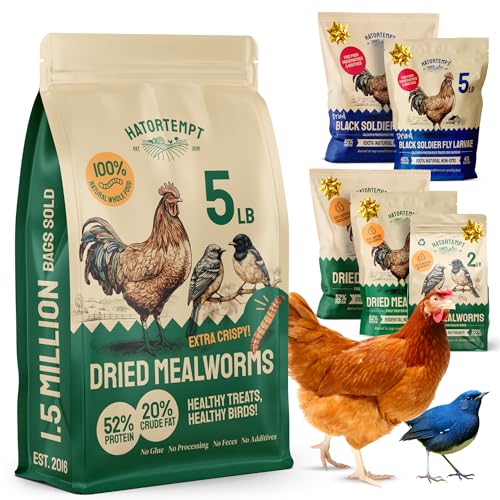 Hatortempt Dried Mealworms 5 lbs - Organic Non GMO Chicken Feed - High Protein Poultry Feed - Mealworms for Chickens, Wild Birds & Laying Hens