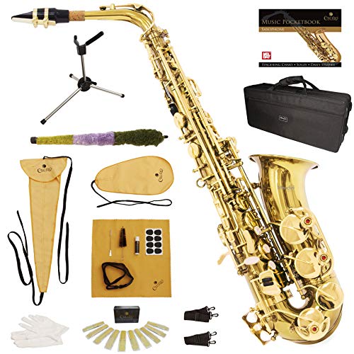Mendini by Cecilio MTS-PL+92D Purple Lacquer B Flat Tenor Saxophone with Tuner, Case, Mouthpiece, 10 Reeds and More