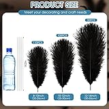 XunYee 240 Pcs Ostrich Feathers Bulk Natural Feathers Decoration 12-14 Inch 10-12 Inch 8-10 Inch Natural Ostrich Feathers Plumes for Wedding Centerpieces Flower Arrangement Home Decor (Black)