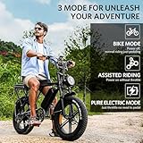 Hipatoo V8 Electric Bike for Adults, Fat Tire E Bike with 750W Peak Motor 48V 15Ah Removable Larger Battery, 20" x 4.0 Electric Mountain Bike, 31MPH Max Speed, Shi-Mano 7 Speed Electric Bicycles