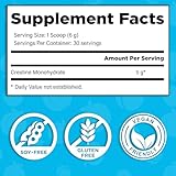 Curvy Body Creatine Monohydrate Powder | Workout Support | Vegan | Kosher | Blue Raspberry Flavor 180 Grams (30 Servings)