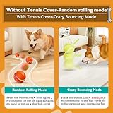 PetDroid Interactive Dog Toys Dog Ball,[2025 Newly Upgraded] Durable Motion Activated Automatic Rolling Ball Toys for/Small/Medium/Large Dogs,USB Rechargeable (Orange)