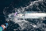 Madmacs 200mm High Speed Sinking 8" Trolling Lure for Bluefin Tuna Yellowfin Wahoo and Mahi Mahi, Hot Pink Mackerel