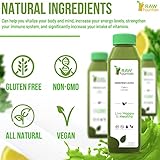 Celery Juice Cleanse by Raw Fountain, All Natural Raw, Cold Pressed Juices, Morning Detox Cleanse, 18 Bottles 12oz, 3 Bonus Ginger Shots