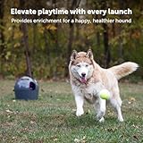 PetSafe Automatic Dog Ball Launcher, Interactive Automatic Ball Launcher for Dogs, Equipped with Motion Sensor, Adjustable Launch Distance, Safe for Indoor and Outdoor Play, Tennis Balls Included