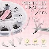 LASHVIEW 1000 Fans 10D Premade Volume Eyelash Extensions Mixed Tray Premade Fans Eyelash Extensions C Curl Premade Lash Fans Pointed Handmade Promade Loose Fans Thin Base (10D-0.07C,8-15mm)