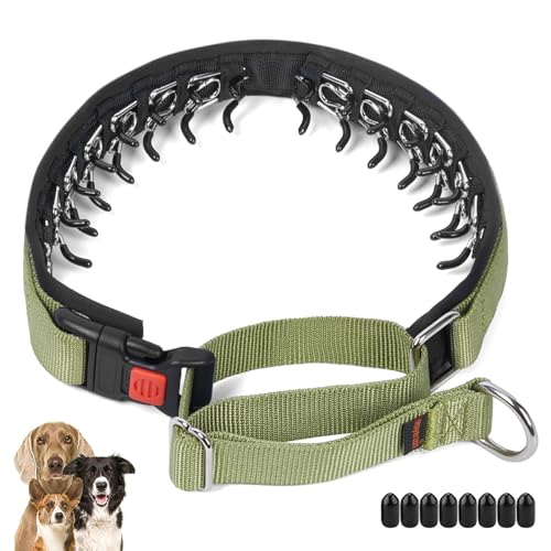 Mayerzon No Pull Dog Collar, Patented Martingale Collar for Small Medium Large Dogs with Buckle and Heavy Duty Nylon for Walking Training Hunting, Safe and Easy to Use(M, Green)