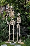 Crazy Bonez Pose-N-Stay Life Size 6 FT Skeleton with Realistic Posable and Movable Joints for Halloween Indoor and Outdoor Decoration