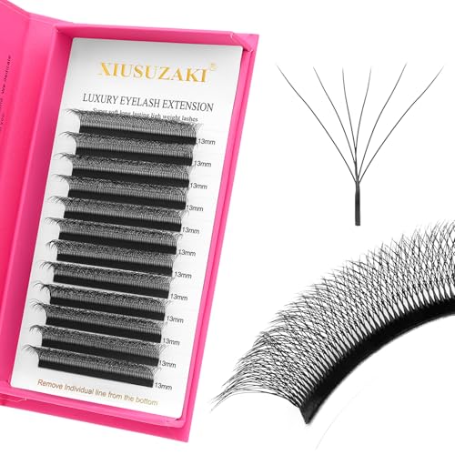 Lash Extensions 6D Eyelash Extensions W Lashes 0.07mm Thickness D Curl Lashes Mix 8-15mm Soft Lash Trays Volume Lash Extension Natural Matte black False Eyelashes Professional Use(W-6D-0.07-D,8-15mm)