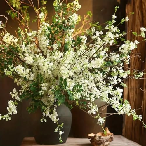 Snow Willow Living Vase Decor - 30 Branches - Grows in Just Water for Weeks - Approx 16-24 Inches Tall