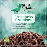 European Nightcrawlers - Approx. 125-150 Live Composting & Fishing Worms, Premium High-Performance Bait for Anglers, Versatile for Trout, Panfish, & Garden Soil Enrichment, Fresh Live Arrival Promised