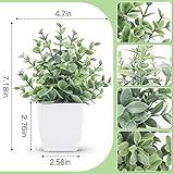 Der Rose 4 Pack Fake Plants Mini Artificial Greenery Potted Plants for Home Decor Indoor Office Table Room Farmhouse