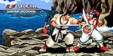 Samurai Shodown: Neogeo Collection (Switch) (Nintendo Switch)