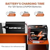 LiTime 12V 20A Lithium Battery Charger 14.6V LiFePO4 Battery Charger AC-DC Smart Charger with Anderson Connector LED Indicator Special for Lithium LiFePO4 Deep Cycle Rechargeable Batteries of Boat, RV