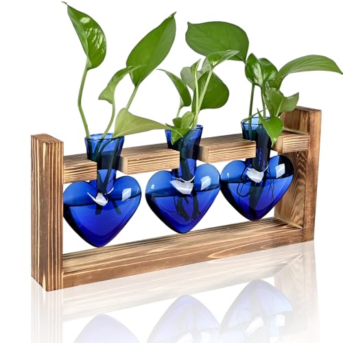 Plant Terrarium Propagation Stations Hydroponics Home Garden Decoration Gift for Women with Wooden Stand Heart Shaped Colored Glass Vase