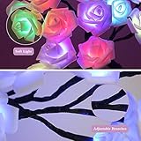 Fanshunlite Gift for Easter and Mother's Day, Table Lamp Rose Flower Tree Decors with 18 Colors Changing, Colorful Lighted Rose Tree 24 LED Bonsai Tree Light for The Home Wedding Dinner Party, Red