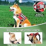 MOOGROU Service Dog Vest Harness and Leash Set+10 Patches,No Pull&Adjustable Reflective Dog Harness with Soft Padded Handle for Training/Everyday,Fit Small/Medium/Large/Extra-Large Dogs(Red XL)