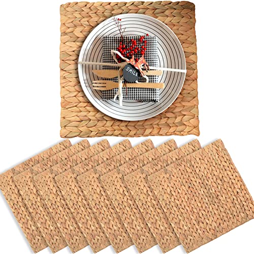 Boho Place Mats Set of 8, Square Table Mats Set of 8, Woven Placemats for Round Table, Chargers for Dinner Plates, Woven Chargers, Home Plate Mat, Outdoor Placemats, Manteles Individuales De Mesa