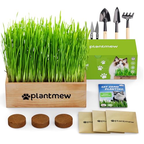 Organic Cat Grass Kit for Indoor Cats - 3 Pack with Cat Grass Seeds, Nutrient Soil & Planter Pots | Complete Growing Set for Fresh Pet Grass (Non-GMO Wheat Grass)