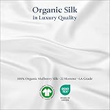 RENESSY Premium Silk Pillowcase 100% Organic Mulberry Silk, 22 Momme, Grade 6A - Oeko-Tex Certified in Germany - Luxury for Hair & Skin, 1 Piece (Standard Size 20x26 Inches, Pale Lavender)