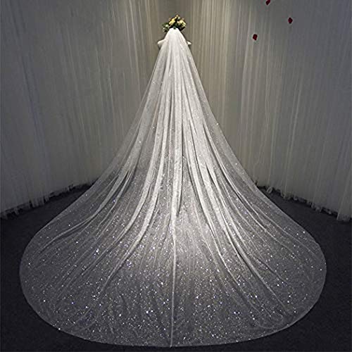 Aukmla Sparkle Cathedral Wedding Veil Long Glitter Bridal Veils with Comb for Women and Brides (White, 59'' Width)