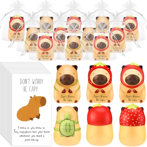 Hollowfly 20 Set Funny Stress Balls Relief Squeeze Toys Inspirational Stress Toy Bulk Motivational Back to School Gift First Day of School Classroom Gifts for Student Teacher (Capybara)