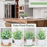 Der Rose 4 Pack Fake Plants Mini Artificial Greenery Potted Plants for Home Decor Indoor Office Table Room Farmhouse