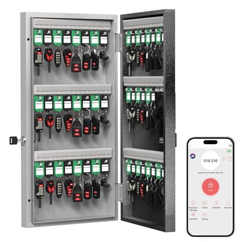WeHere Smart Key Lock Box Wall Mount, 48 Key Cabinet with Bluetooth, 5-Ways Unlocking App Customizable Passwords, Key Organizer Holder Box, Efficient Key Management for Office, Realtor, Hotel, School
