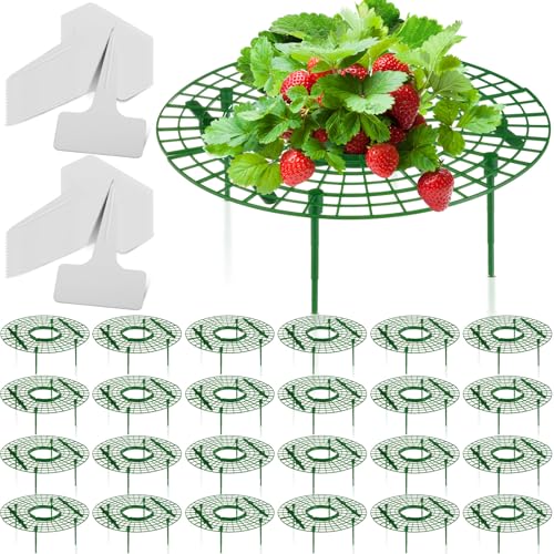 Irenare 24 Pack Strawberry Plant Support with Plant Labels Large Size Strawberry Growing Racks Growing Frame Stand Holder for Keeping Garden Strawberry Clean
