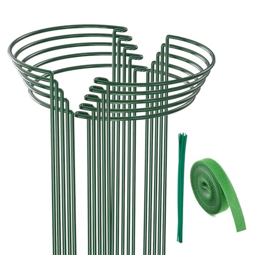 YEENIM 10 Pack Plant Support Stakes, 24 Inch Half Round Metal Peony Cages and Supports, Garden Plant Support Ring for Indoor Outdoor Plants, Tomato, Hydrangea, Monstera, Flower (10" W x 24" H)