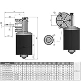 Fielect DC 24V 100RPM Reversible Worm Geared Motor High Torque Electric Gear Motor Turbine Worm Gear Box Reduction Motor, Right Shaft GW6280