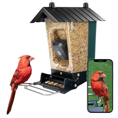 Perky-Pet Smart Camera Squirrel-Resistant Bird Feeder, 3.5 lb Seed Capacity – Motion Activated 1080p HD Photos & Videos, Live Stream Camera – 2.4 GHz Wi-Fi, Battery-Powered