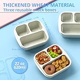 Enstphjoy Snack Boxes (3 Pack) - Stackable Bento Boxes with 3 Compartments, Meal Prep Containers Reusable, Lightweight Lunch Containers for Kids and Adults, BPA Free (Off White)