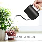 Watering Can for Indoor Plants, 35 oz/1000 ml Metal Stainless Steel Pot with Long Spout for House Plants Bonsai Outdoor Garden Flower Decorative (Black)