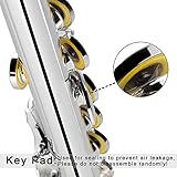 EASTROCK C Flute Instrument, 16 Keys Closed Hole Flute for Beginner, Kids, Student Flute with Carrying Case Stand, Cleaning kit, Gloves, Tuning Rod, Nickel