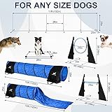 Fun For Tails Premium Dog Agility Training Equipment, Build Any Dog Agility Course, Perfect Agility Training Equipment for Dogs Also Makes A Great Obstacle Course for Dogs! Lots of Fun!