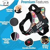 Personalized No Pull Dog Harness with Custom Name and Phone Number by PawPawify, Heavy Duty Pet Vest to Prevent Tugging, Pulling, or Choking, Training and Walking L Chest 28-38in Color Grid