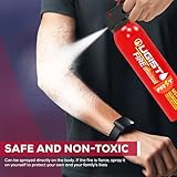 Ougist Fire Extinguisher for Home 620ml 4 Count,Can Prevent Re-lgnition,Best Suitable for Vehicle The House Car Truck Boat Kitchen Water-Based Fire Extinquishers