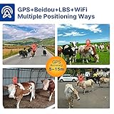 KEhtu Animal Tracker, GPS Real-time Tracker for Cattle, Horses, Camels and Livestock, 6000mAh Lithium Battery, Historical Track, Real-time Positioning, Range Setting and Multiple Positioning