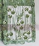 SanVera17 African Fabric 3D Sequins Net Fabrics Nigerian Embroidered Lace Fabric for Party Dress (Light Green) 5 Yards 320305