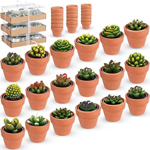 Treela 18 Pcs Succulent Cactus Tealight Candles Handmade Tea Lights Baby Shower Plant Candle Gift with Mini Terracotta Clay Candle Holders for Home Birthday Christmas Wedding Party(Cute)